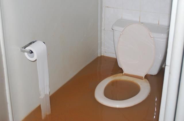 Flooded Toilete